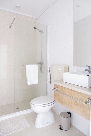 Shower, hair dryer, bidet, towels