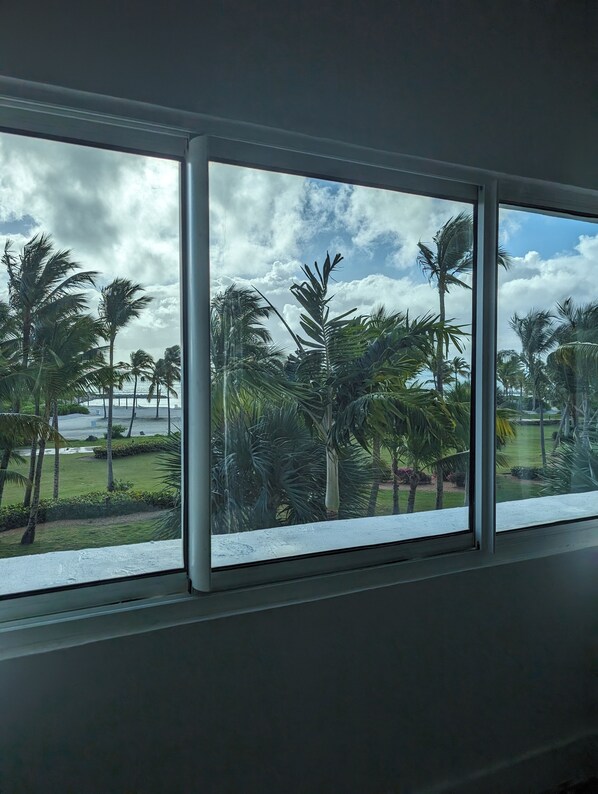 Vista a través de una ventana con cielo despejado y palmeras.