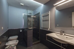 Ducha, secador de pelo, bidé y champú