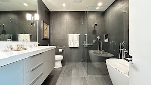 Shower, hair dryer, towels