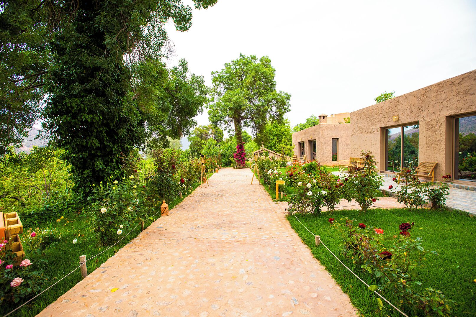 Habitación familiar doble, balcón, vistas al jardín | Terraza o patio