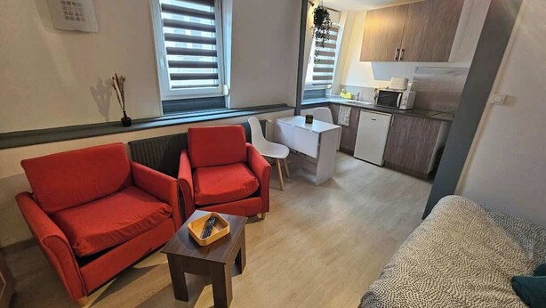 Ein gemütlicher Wohnbereich mit einem roten Sofa, einem gemusterten Sitzmöbel, einem kleinen Tisch und einer Küchenzeile im Hintergrund.