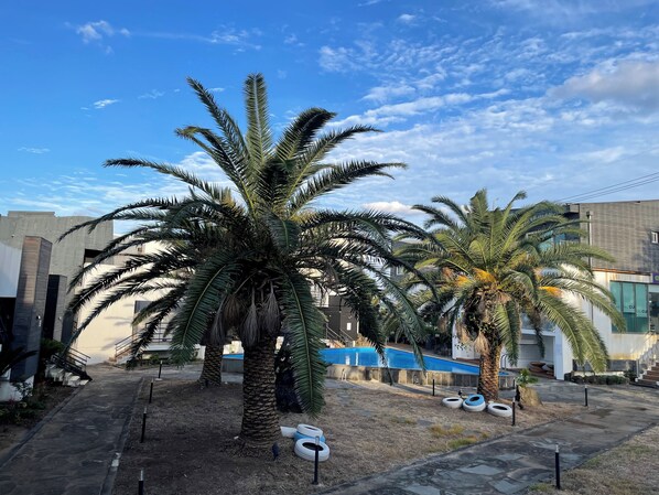 A courtyard with palm trees, a pool, and modern buildings.