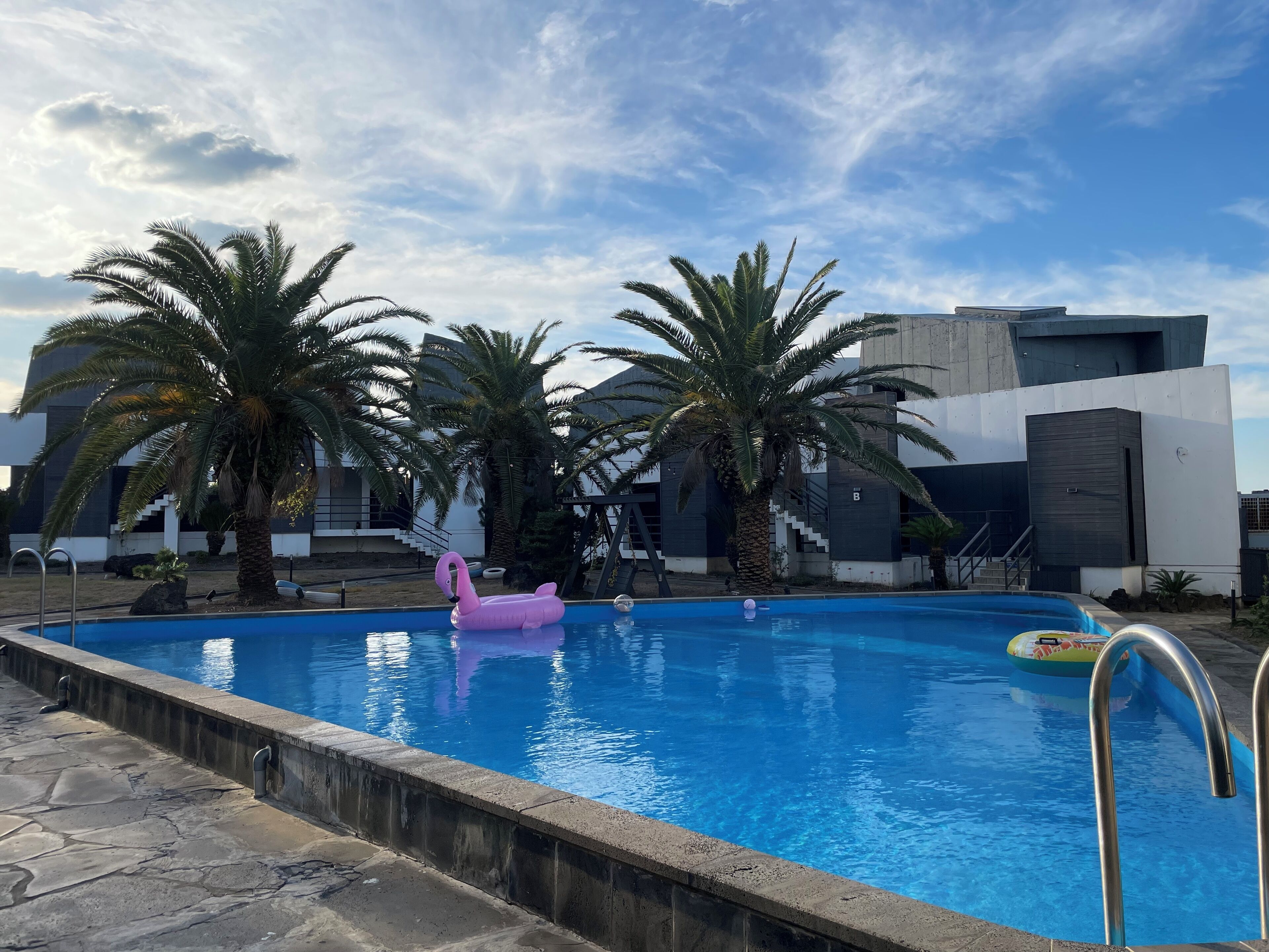 A swimming pool with a pink flamingo float, palm trees, and modern buildings in the background.
