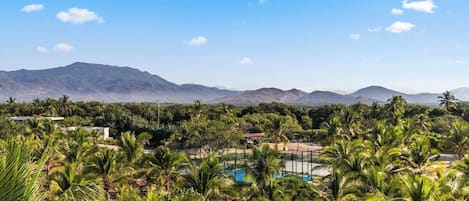 A landscape with palm trees, a pool, and mountains in the background.