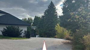 Un camino de entrada residencial con un aro de baloncesto, rodeado de árboles y una casa.