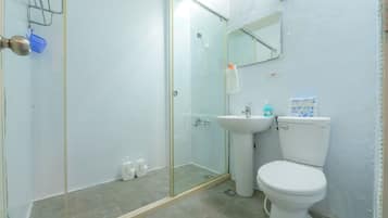 Shower, hair dryer, shampoo, toilet paper