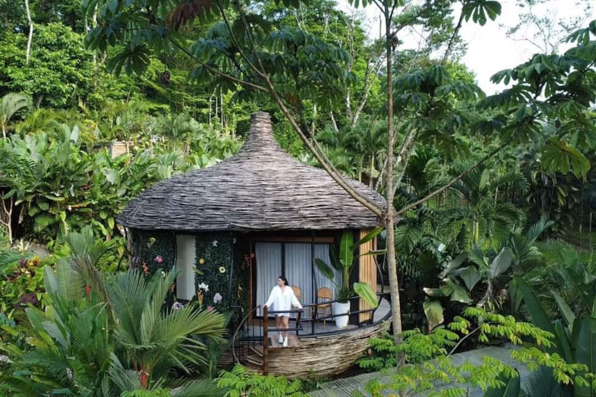 A thatched-roof hut with a balcony, surrounded by lush tropical vegetation.