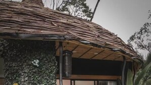 Une personne est assise sur un escalier en colimaçon en bois, sous une structure de toit en chaume, et un mur recouvert de feuillage et de fleurs vertes.