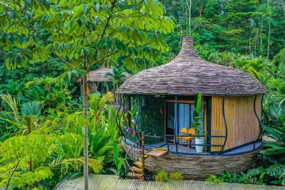 Arenal Palms