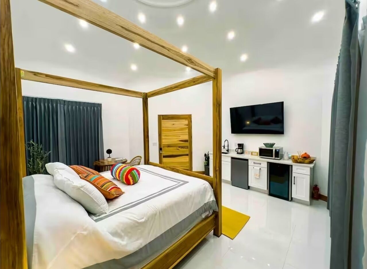 Een moderne slaapkamer met een hemelbed, een flatscreen televisie, een kleine kitchenette en een badkamer met douchegordijn.