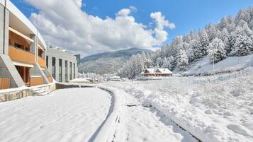 Área da propriedade