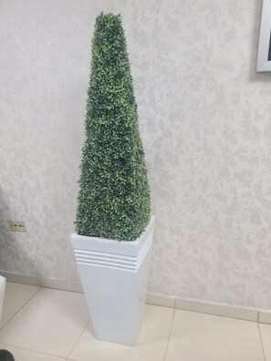Interior - Céntrico con Jacuzzi privado (Santiago de los Caballeros)