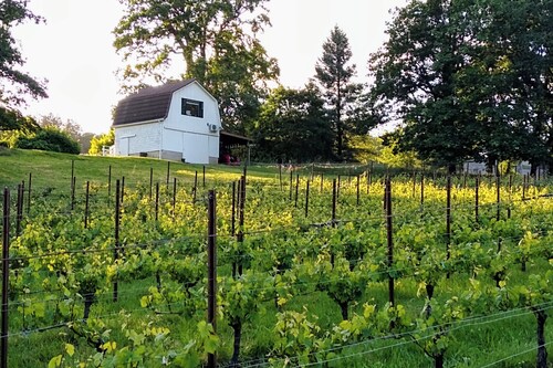 Vineyard Cottage Barn | Eola-Amity Hills Retreat