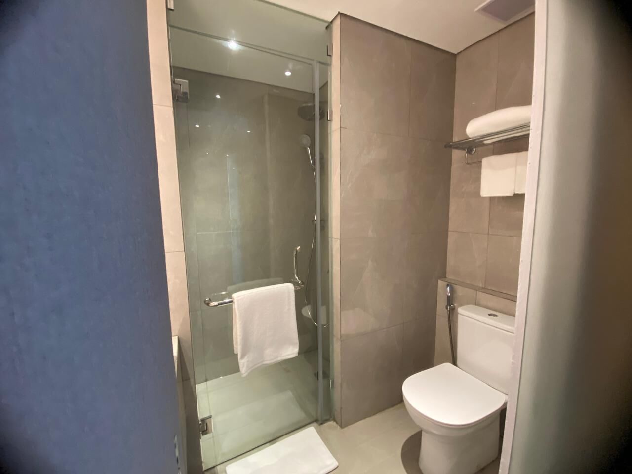 A modern bathroom with a glass-enclosed shower, a toilet, and a towel rack.