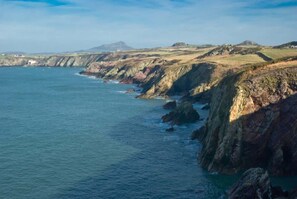 Immagine non classificata, 4 di 32, pulsante