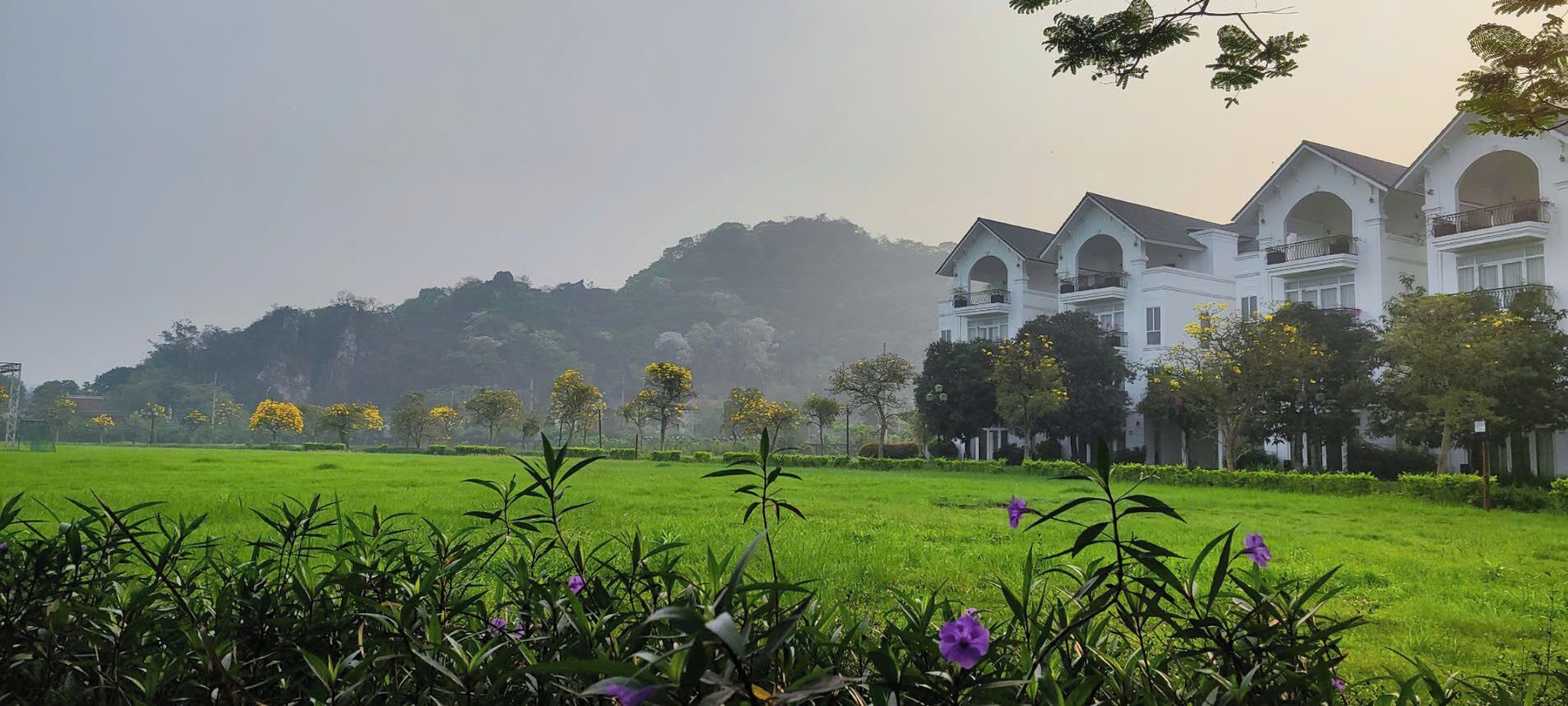 واجهة المنشأة