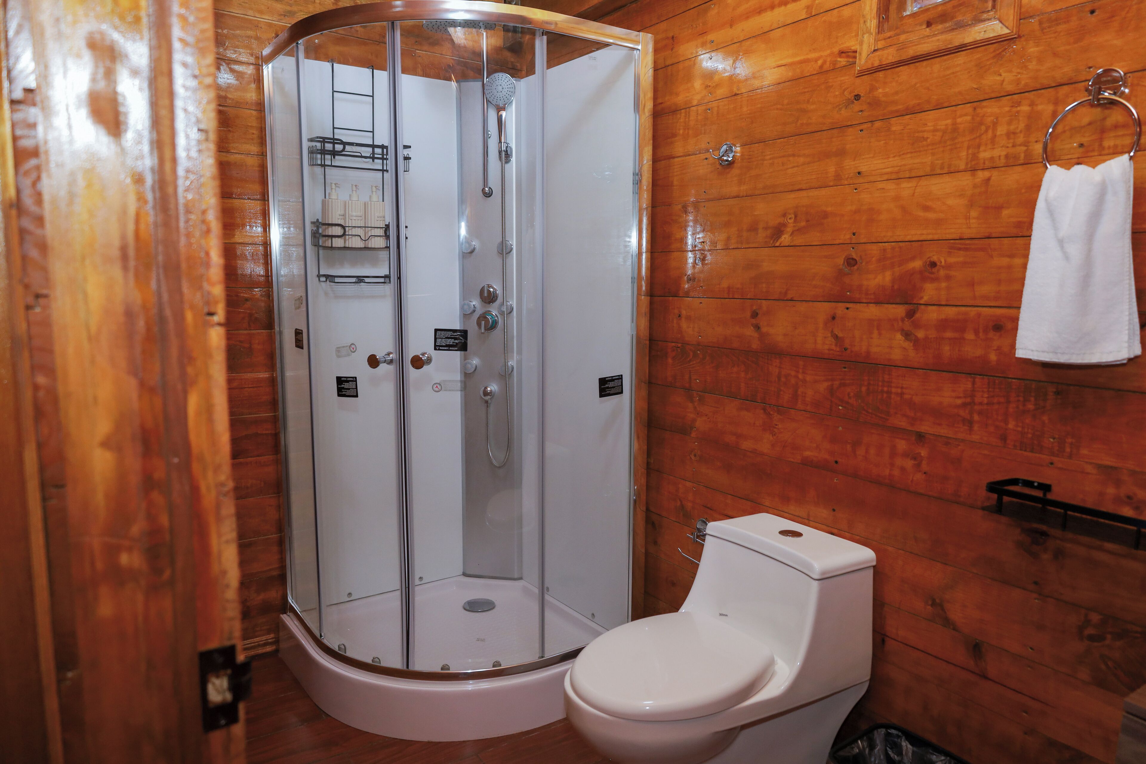 A wooden-paneled bathroom with a glass-enclosed shower, a toilet, and a towel ring.
