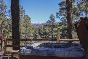 Outdoor spa tub - Secluded Cabin: Hot Tub, Pet-Friendly, 3.5 Acres, Stunning Mountain Views, Starlink Wifi, Fire Pit! (Pagosa Springs)