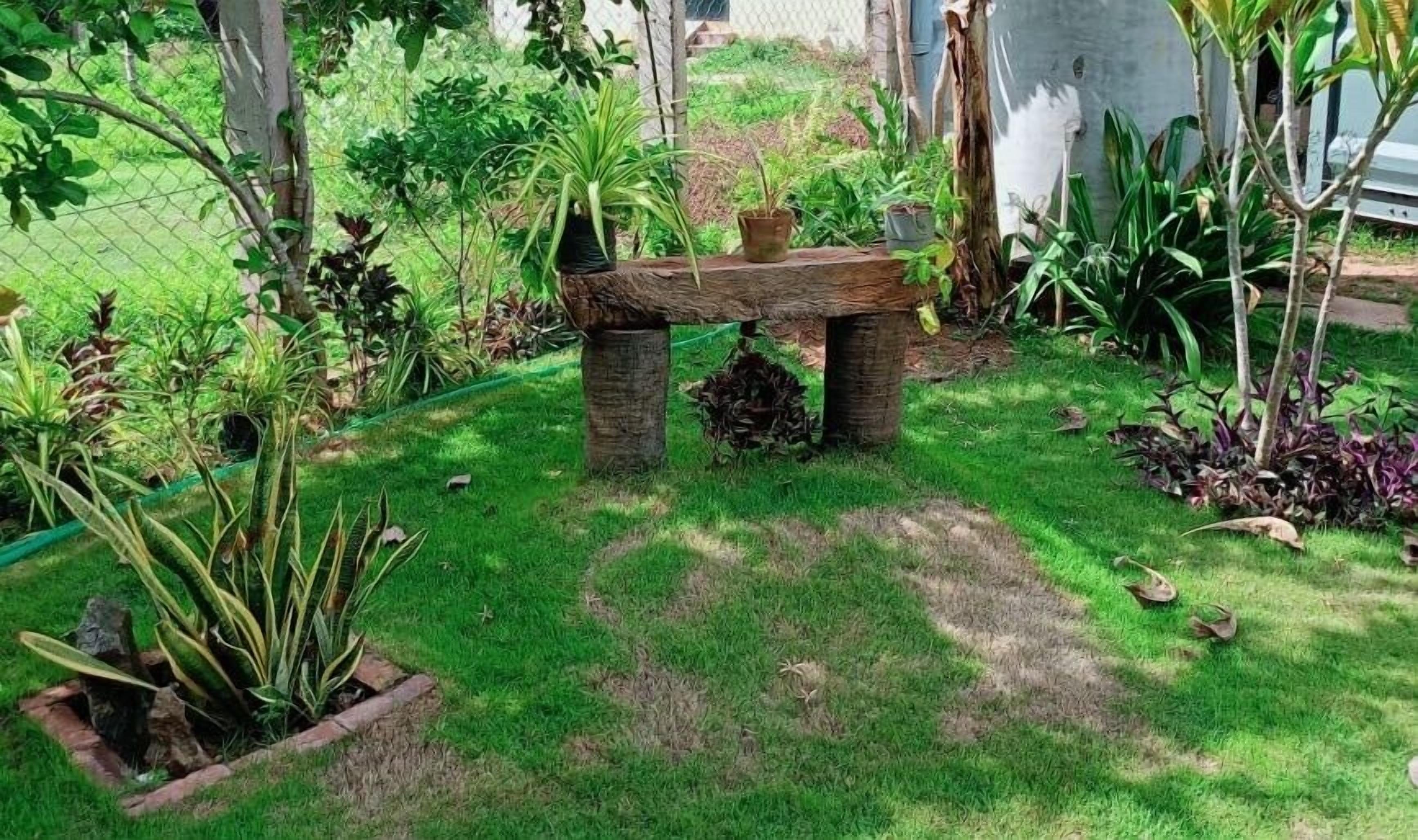 A garden with a stone bench surrounded by various plants and a fence.