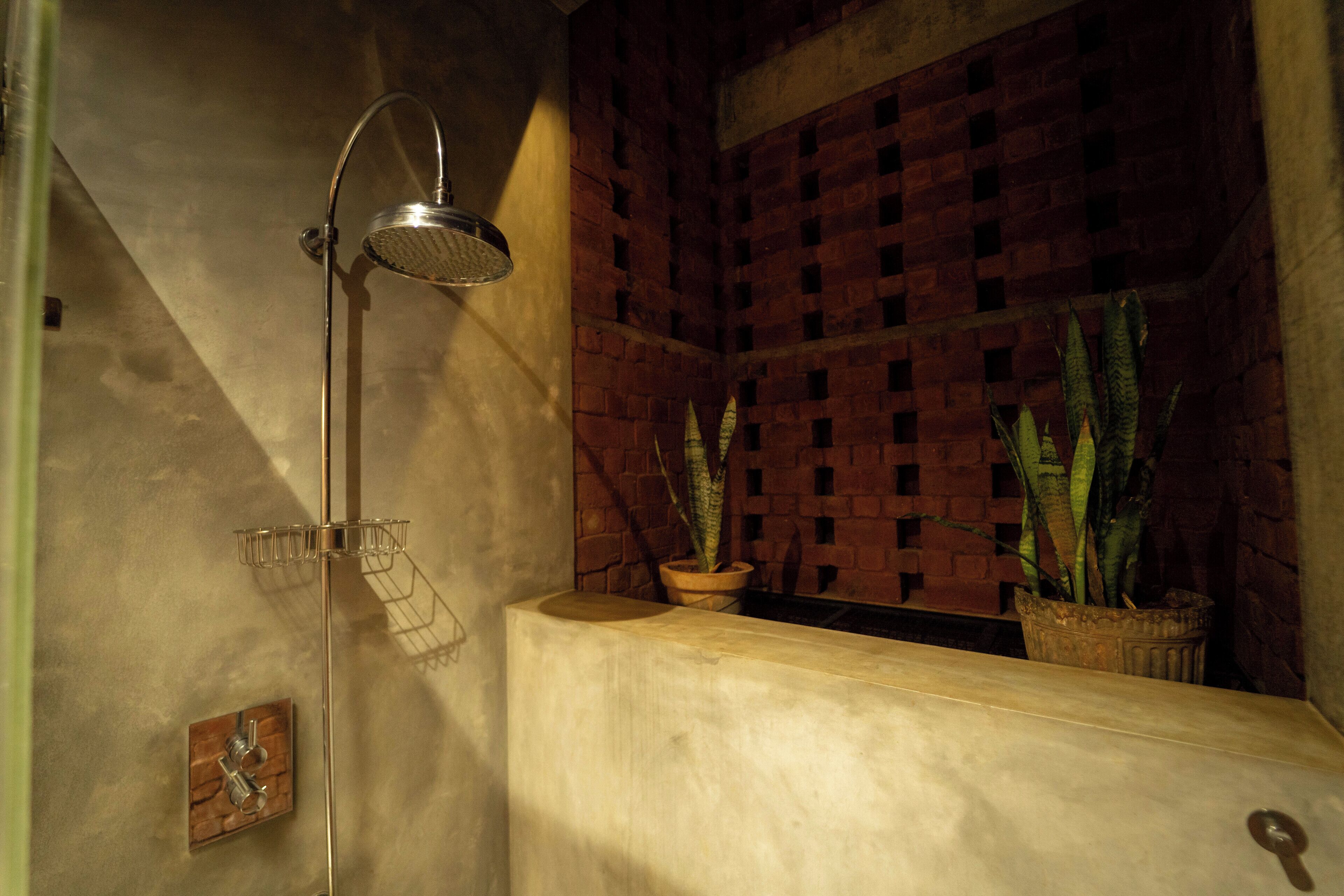 Un baño con ducha, lavamanos y dos plantas en macetas.