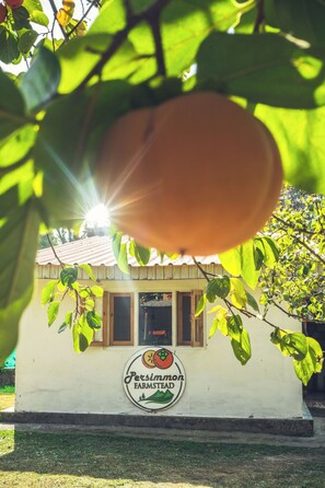 Exterior - Persimmon Farmstead (Manali)