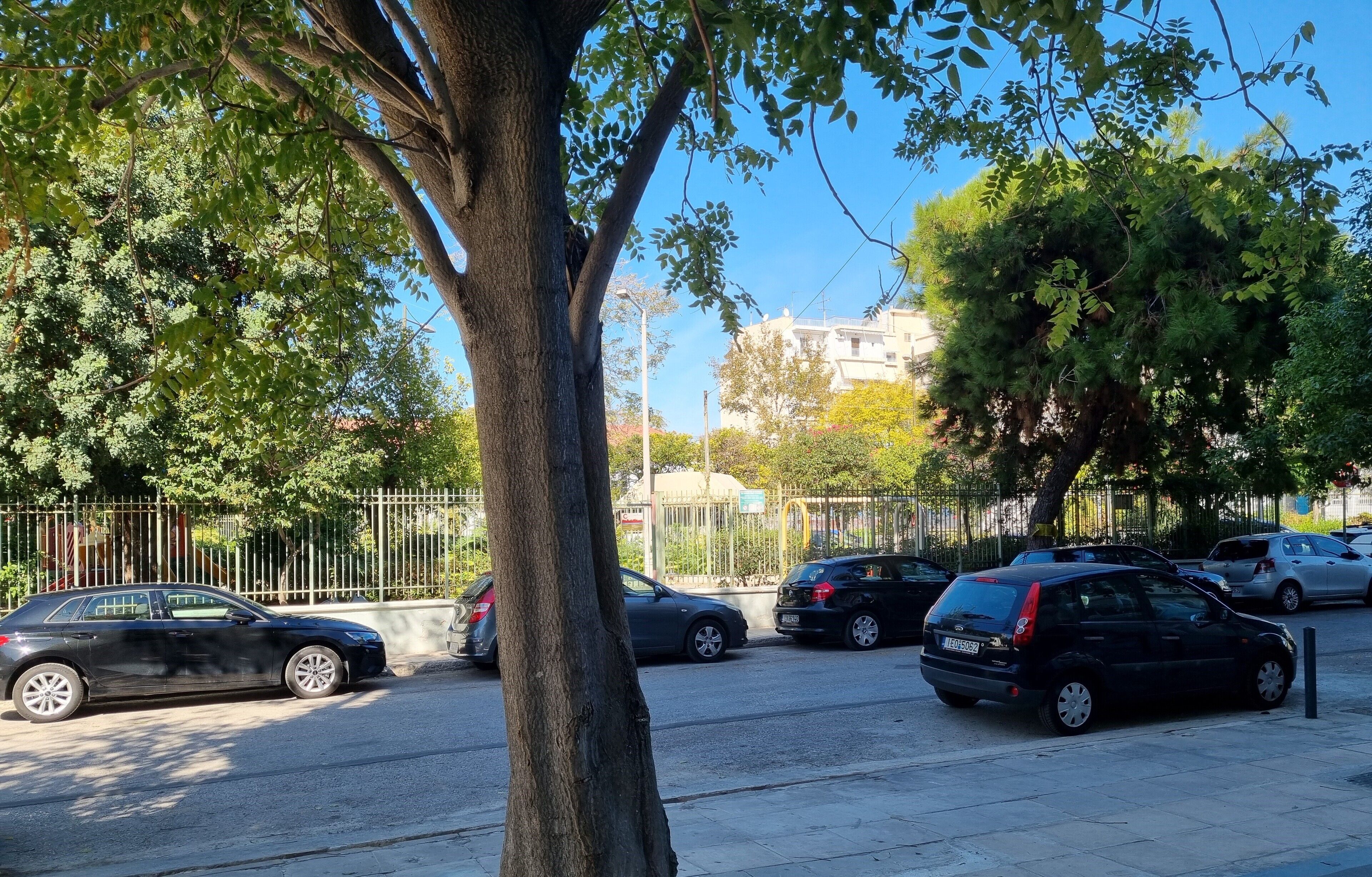 A street scene with parked cars and trees.