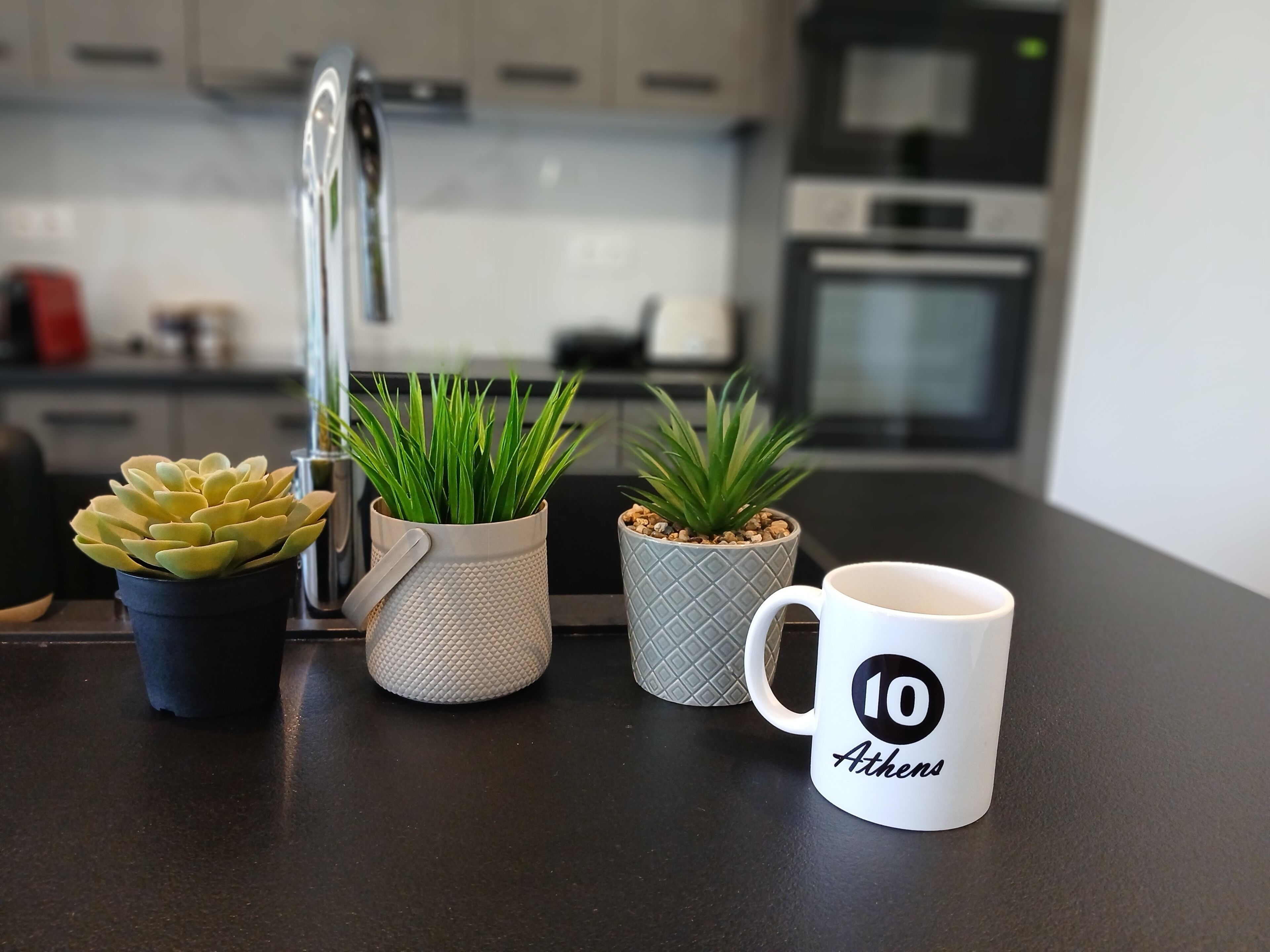 A kitchen counter with three potted plants and a mug with "10 Athens" printed on it.