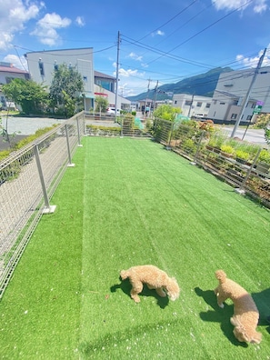 Enceinte de l’hébergement