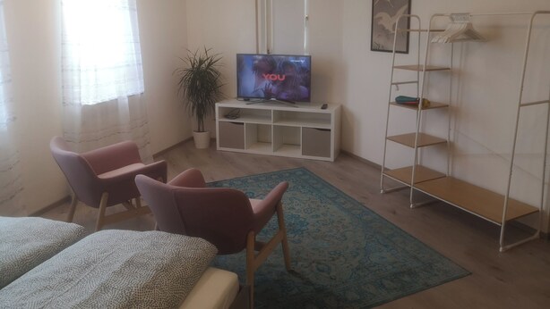 A living room with a TV, two chairs, a plant, and a shelf unit. - Unique apartment in the Hundertwasserhaus in the center of Plochingen

 (Plochingen)