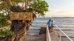 A wooden pier extending over a beach with a sign reading "BEACH" and a tree with exposed roots.