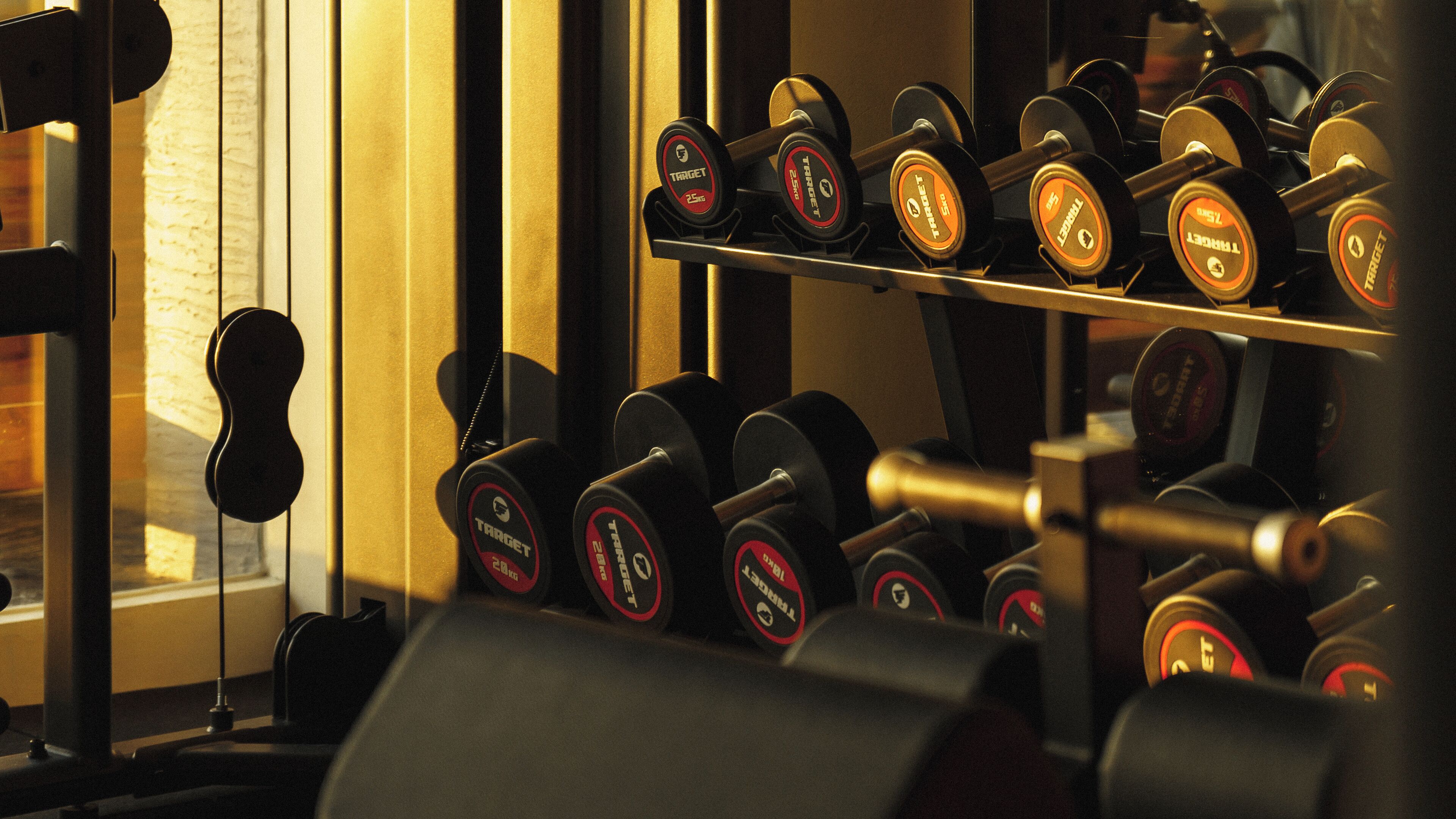 A gym with various weightlifting equipment, including dumbbells and barbells.