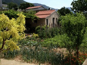 Classic Apartment, 2 Bedrooms | Garden