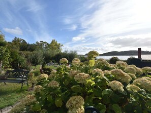 コンフォート ハウス 1 ベッドルーム | 施設からの眺望