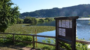 Ein hölzernes Informationsschild am See mit einem Holzzaun im Vordergrund.