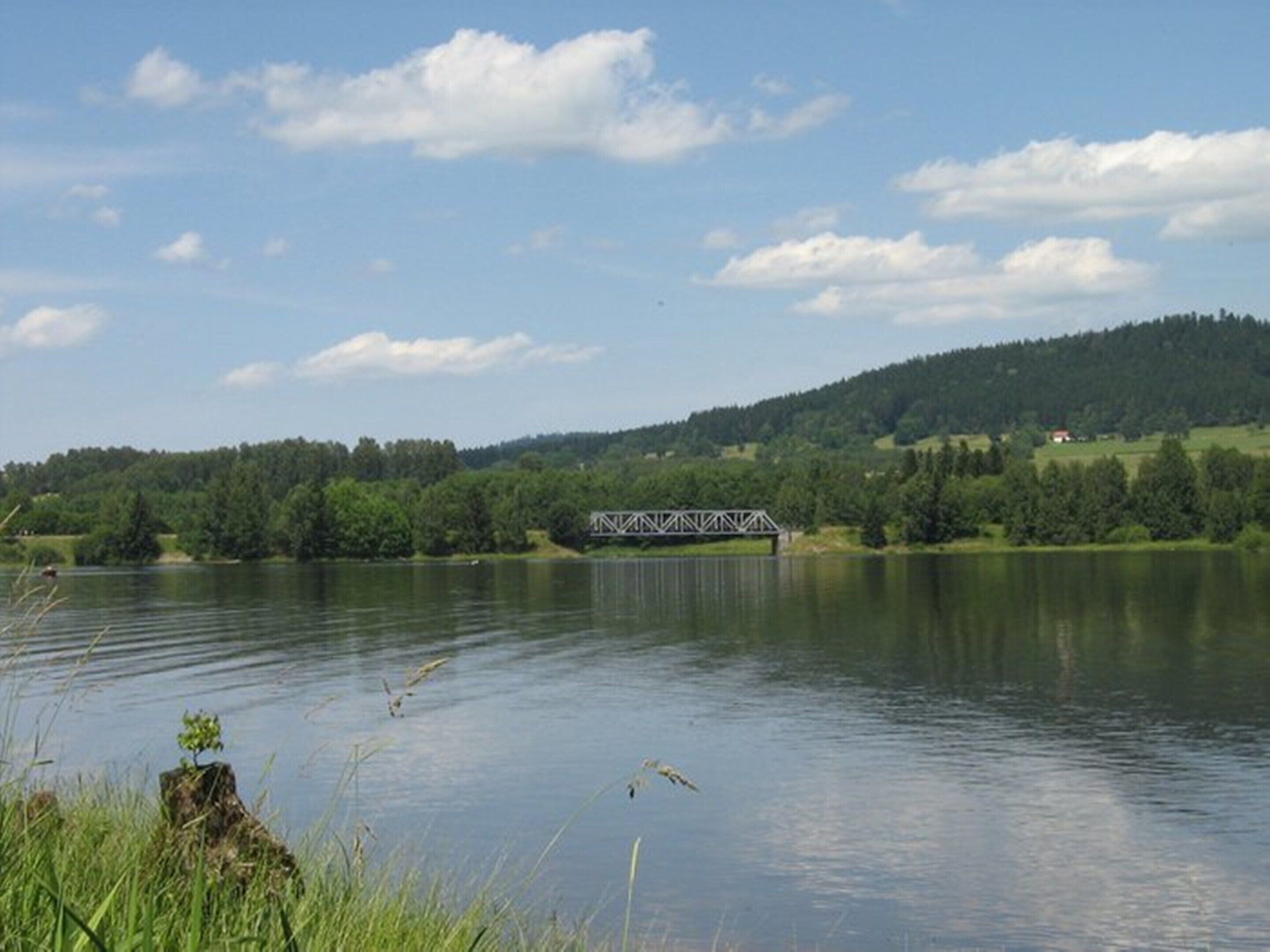 Un lago tranquilo con un puente a lo lejos, rodeado de vegetación y árboles.