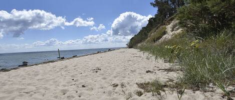 Comfort Apartment, 2 Bedrooms | View from property