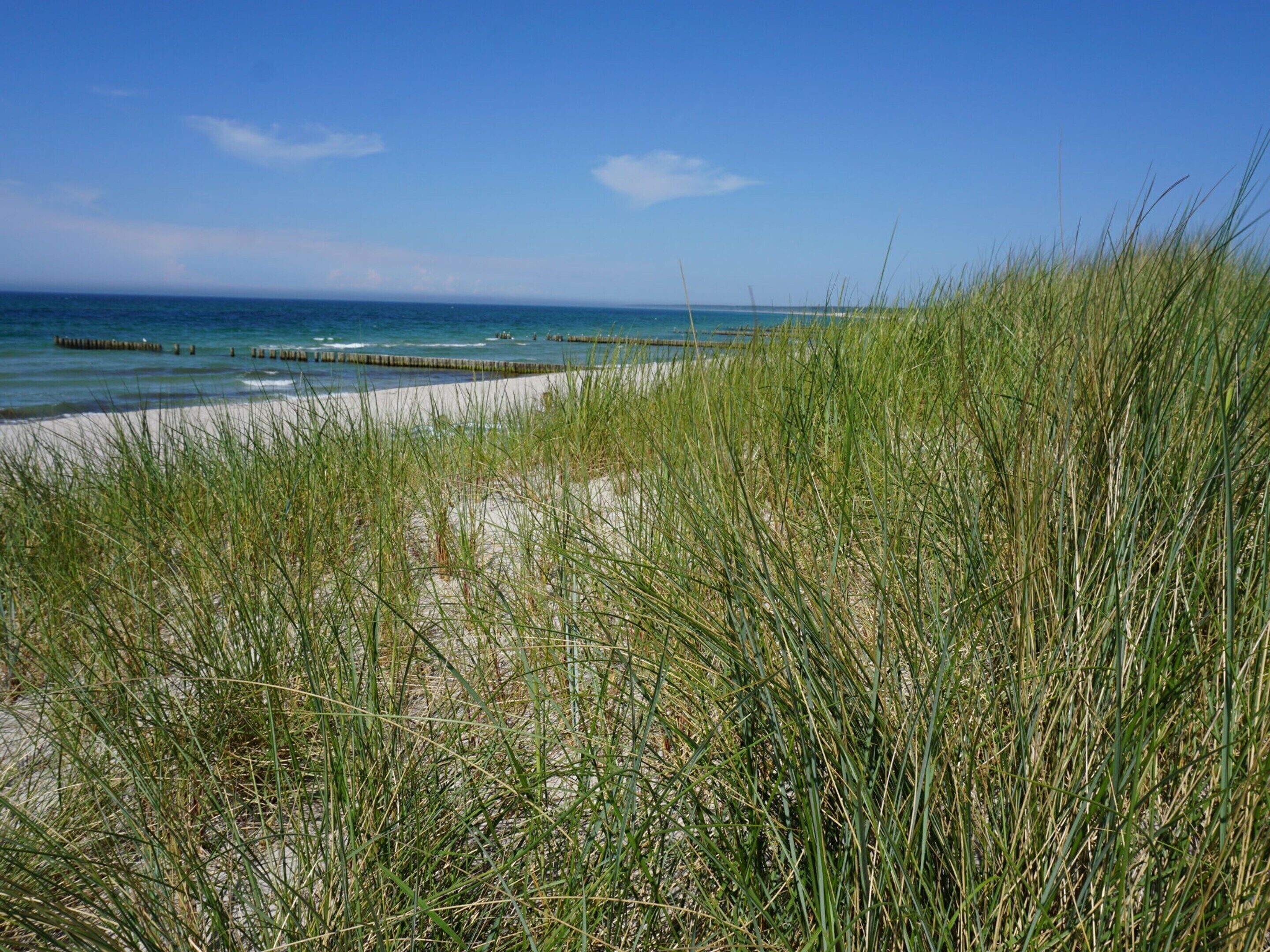 Classic Apartment, 1 Bedroom | View from property