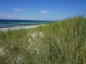 A beach with tall grass in the foreground and a wooden jetty extending into the water. - Spacious Apartment in Wieck auf dem Darb (Wieck auf dem Darss)