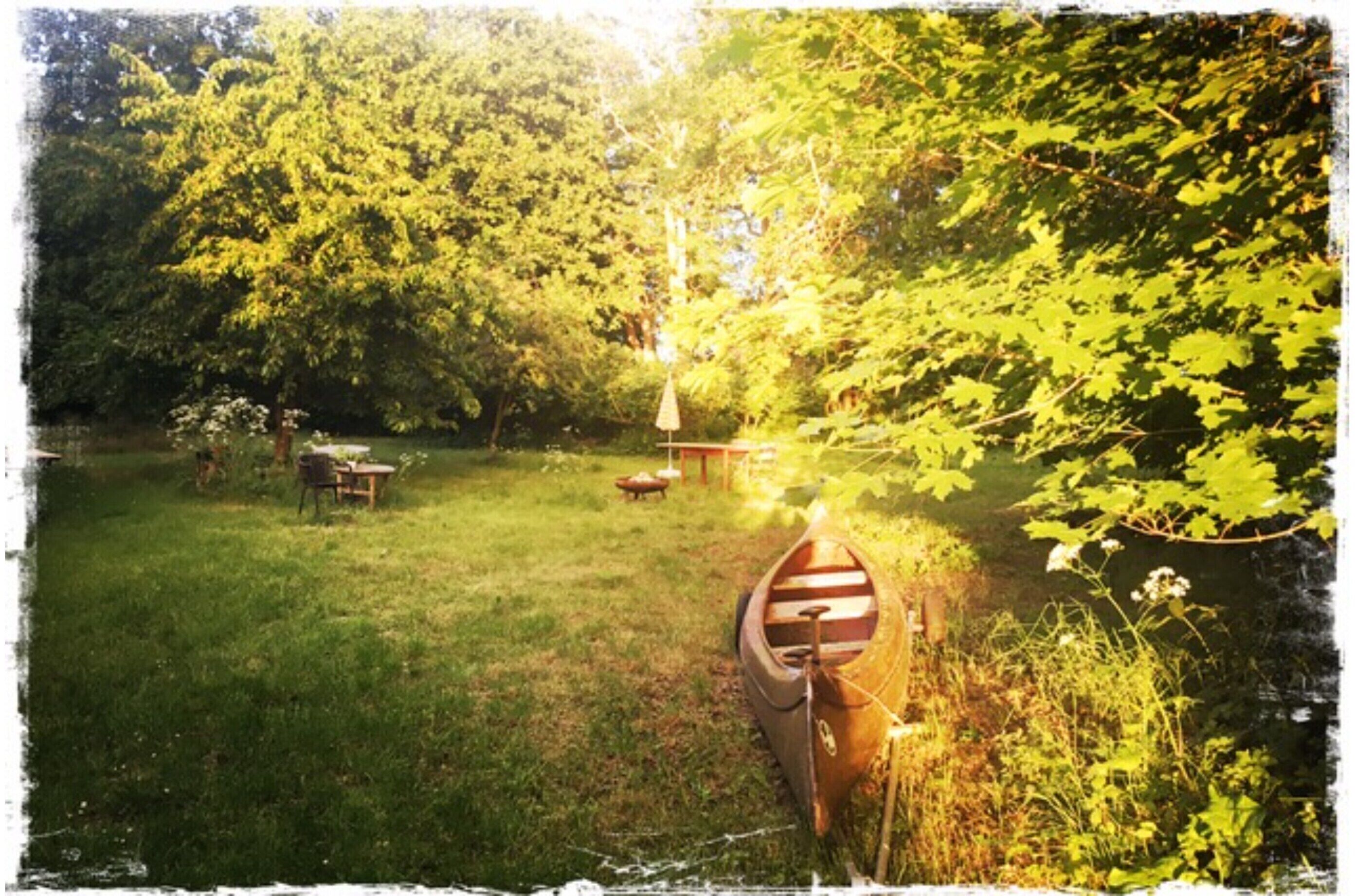 Un canoë est attaché à un arbre dans une zone herbeuse, avec des tables de pique-nique et un banc en arrière-plan.