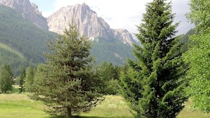 A grassy field with several coniferous trees and a mountain range in the background. - Spacious Chalet With Garden Near Ski Area in Tyrol (San Giovanni di Fassa)