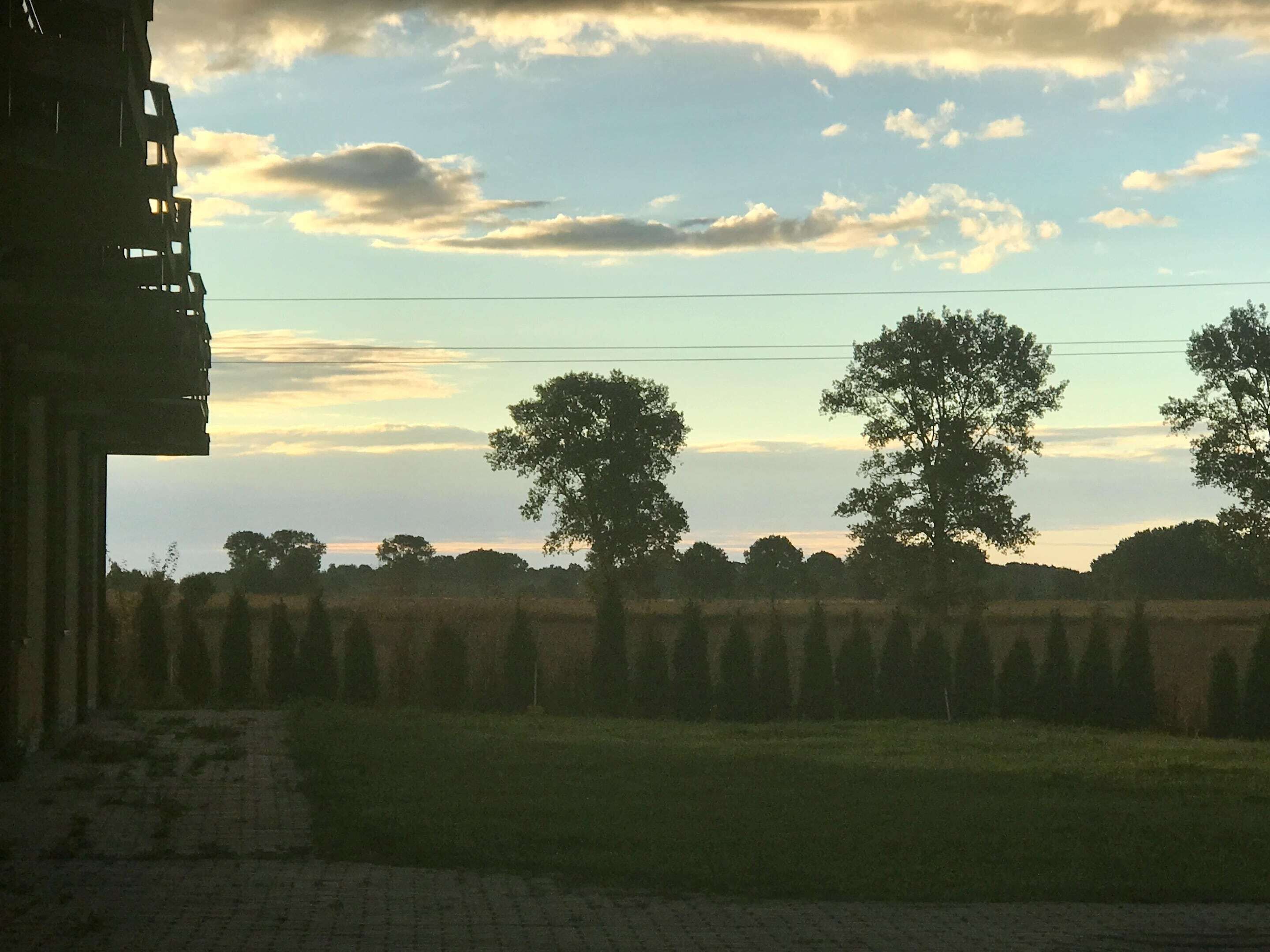 A rural landscape with trees and a field.