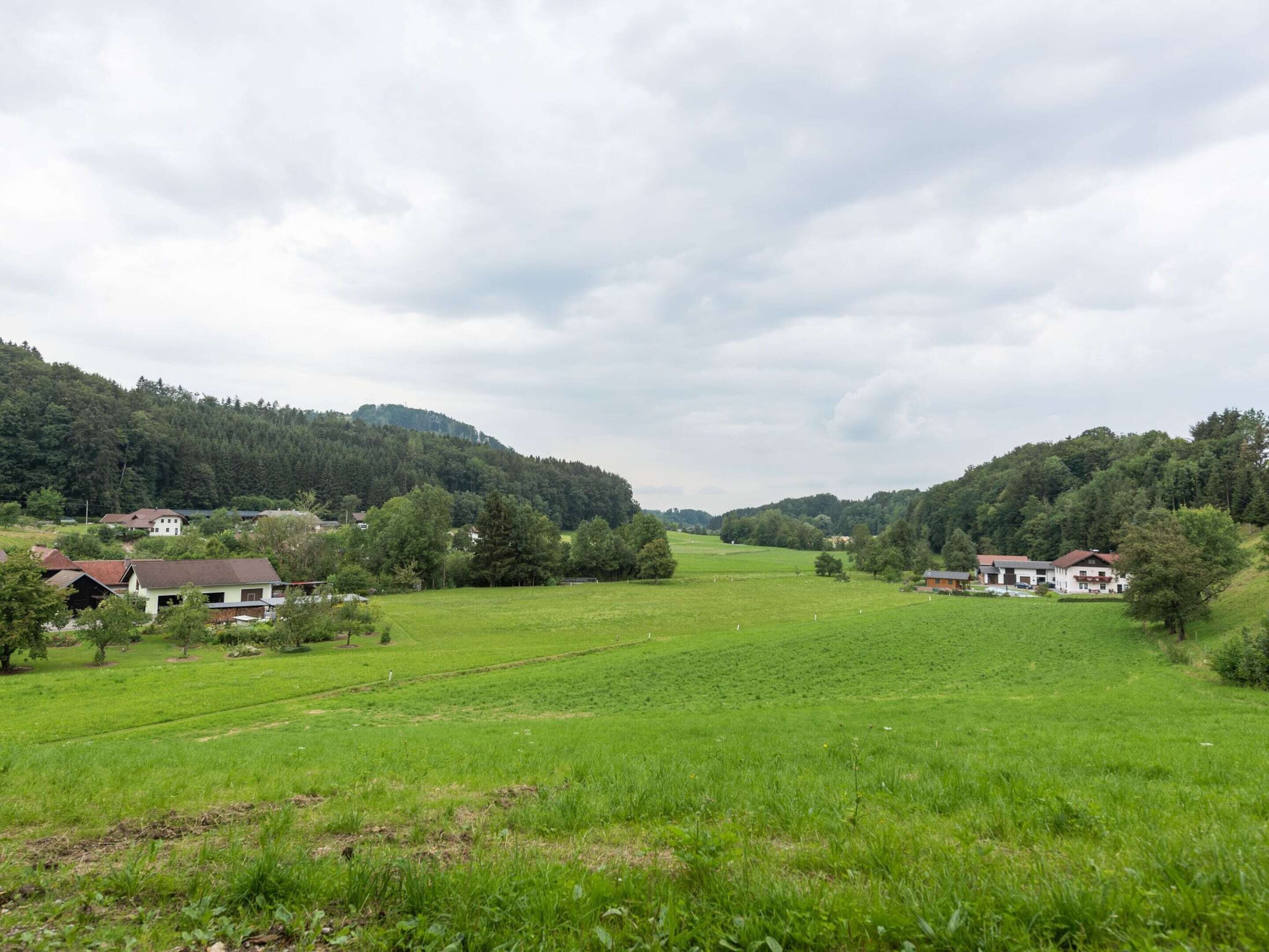 Ländliche Landschaft mit Häusern und Feldern.