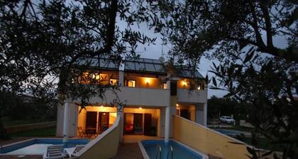 Splendid Holiday Home in Novigrad Near sea
