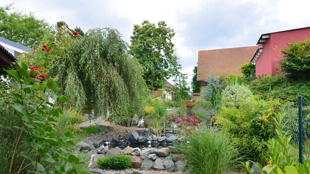 A garden with a variety of plants, a small pond, and a pathway. - Relaxing Holiday Home in Willersdorf in the Forest (Frankenberg)