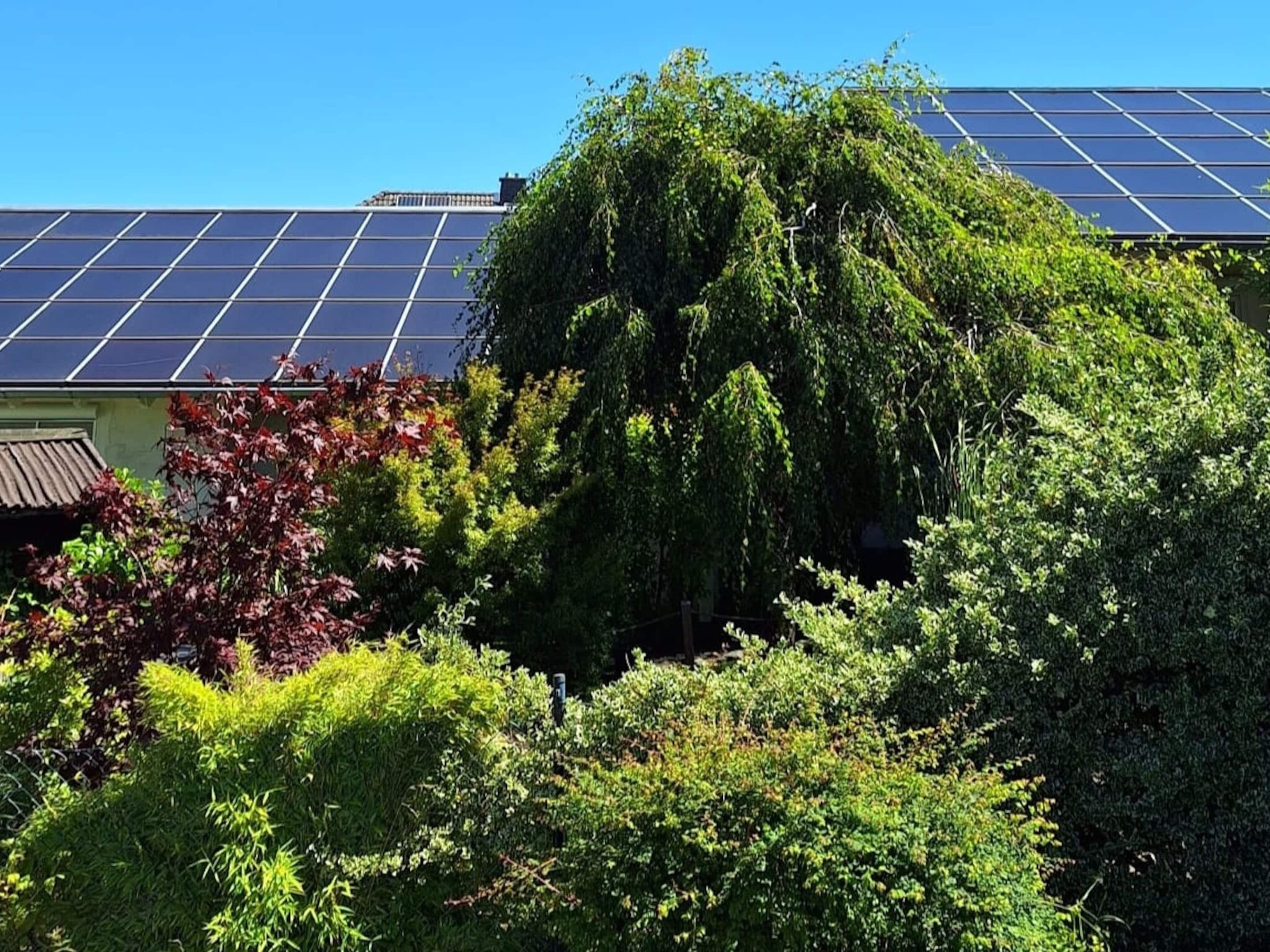 Un edificio con paneles solares en el techo y abundante vegetación en primer plano.