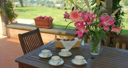 Attractive and Spacious Villa With Pool