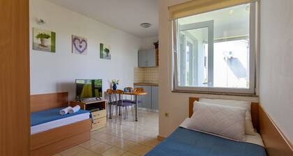 Homely Apartment in Sukosan Near Sea