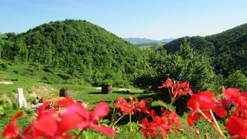 Cottage tiện nghi đơn giản, 2 phòng ngủ | Quang cảnh nhìn từ nơi lưu trú