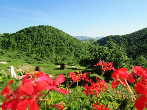 Comfort-Ferienhaus, 2 Schlafzimmer | Blick von der Unterkunft